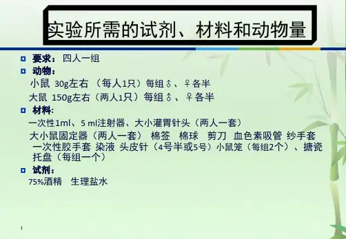 大小鼠实验动物的一般操作技术(共22张PPT)