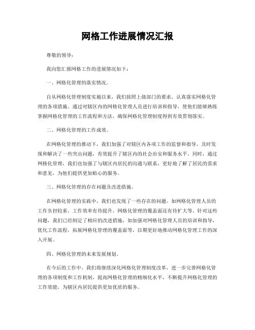 网格工作进展情况汇报