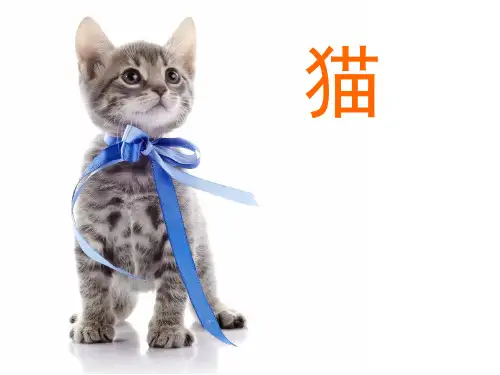 猫的介绍课件