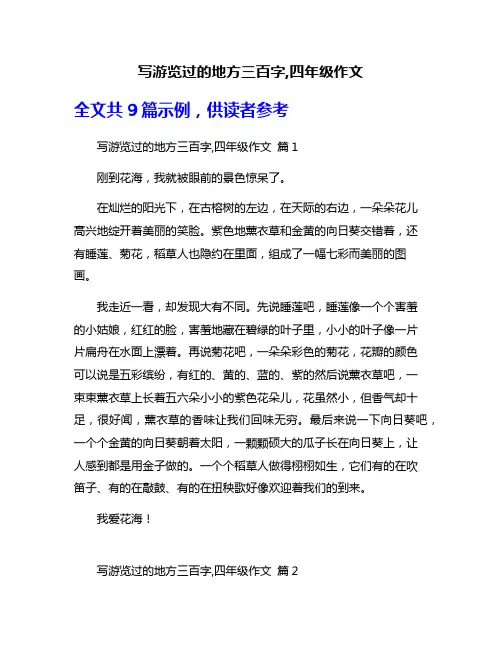 写游览过的地方三百字,四年级作文