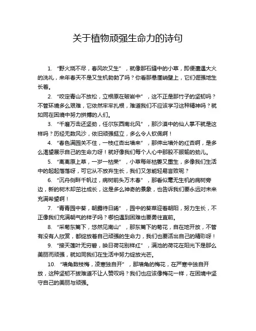关于植物顽强生命力的诗句
