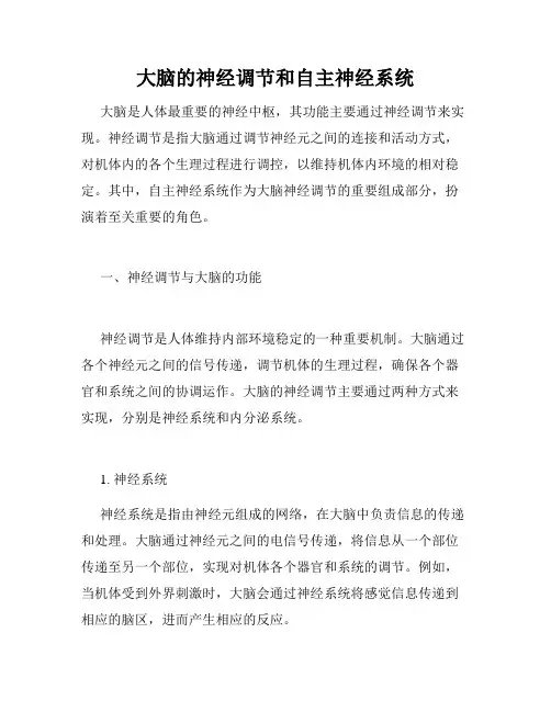 大脑的神经调节和自主神经系统