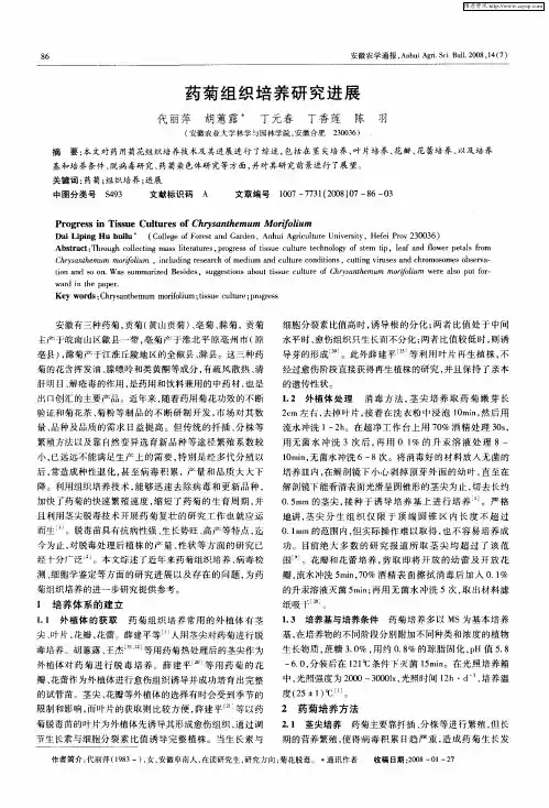 药菊组织培养研究进展
