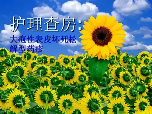 大疱性表皮坏死松解型药疹护理查房ppt课件