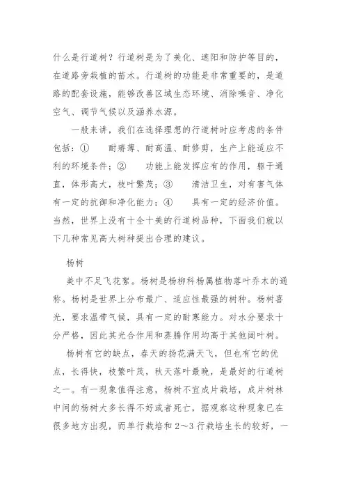 几种比较常见的行道树
