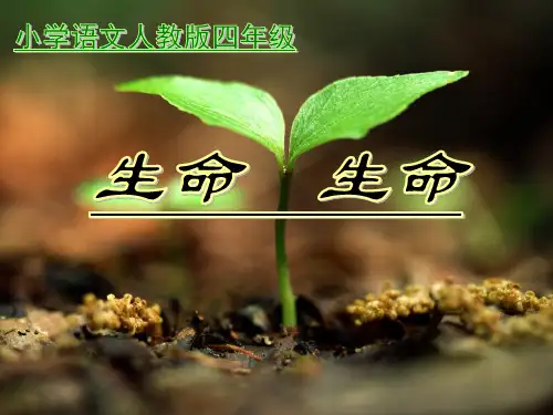 《生命--生命》课件