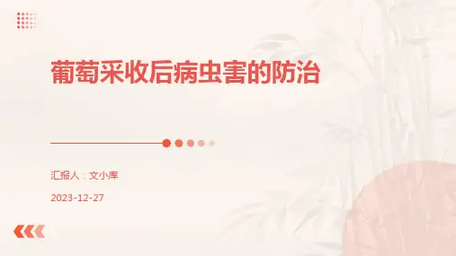 葡萄采收后病虫害的防治