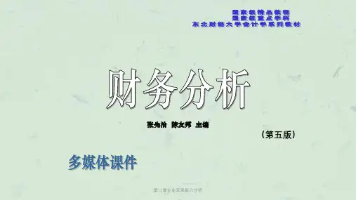 第11章企业发展能力分析课件