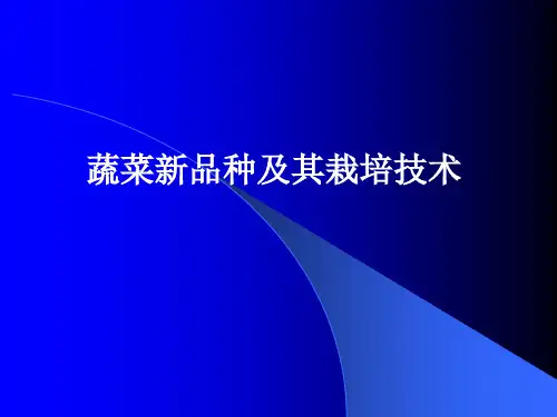 黄瓜蔬菜品种及栽培技术