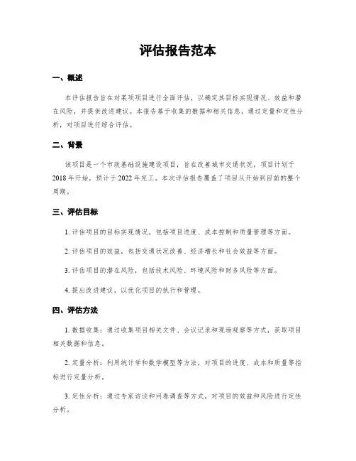 评估报告范本