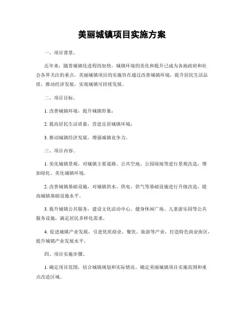 美丽城镇项目实施方案