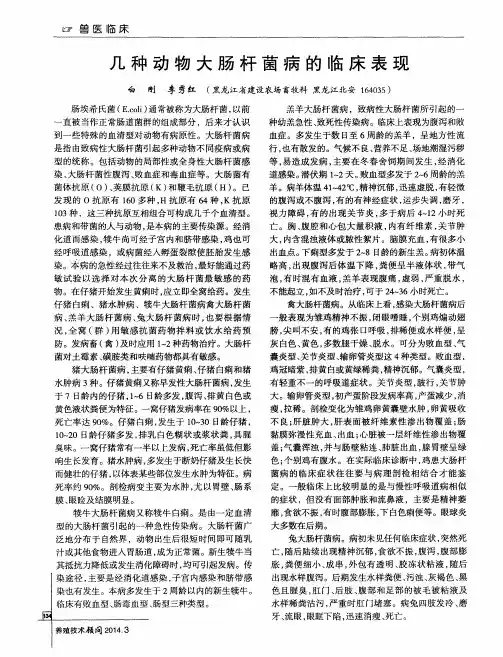 几种动物大肠杆菌病的临床表现