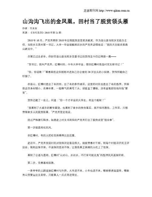 山沟沟飞出的金凤凰,回村当了脱贫领头雁