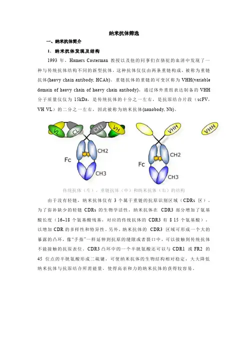 纳米抗体筛选实验步骤