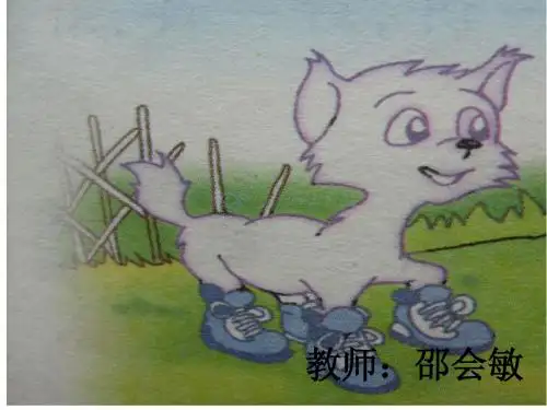 邵会敏小猫咪穿鞋子