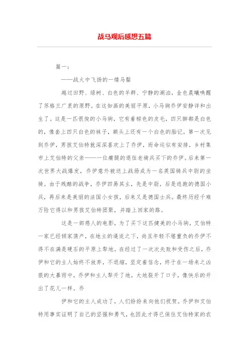 战马观后感想五篇
