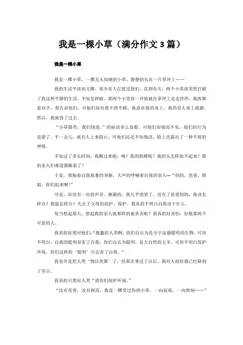 我是一棵小草(满分作文3篇)