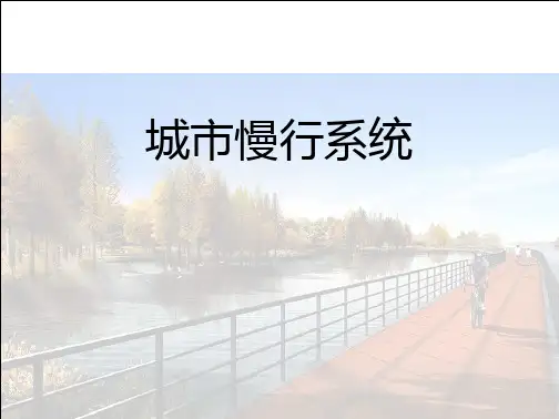 (精品)慢行系统描述