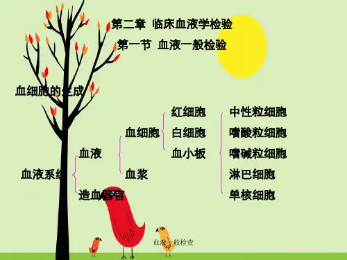 血液一般检查