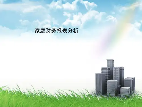 家庭财务报表分析