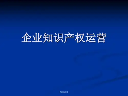 企业知识产权运营1(精编课件).ppt
