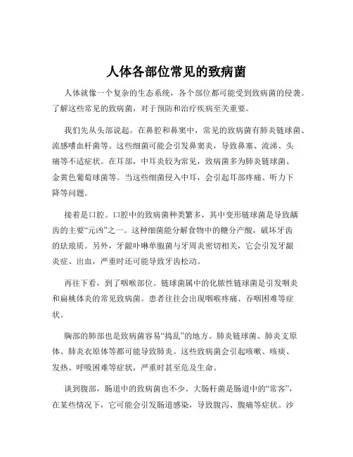 人体各部位常见的致病菌