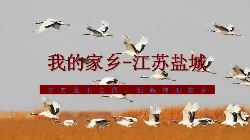 盐城简介