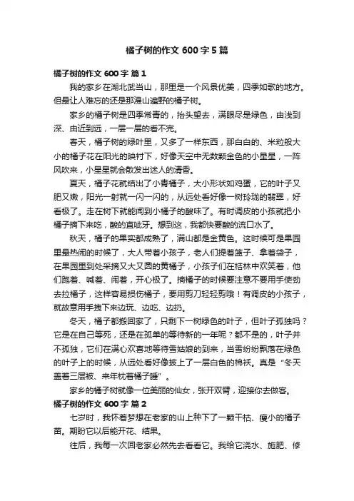 橘子树的作文600字5篇