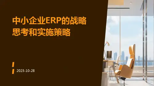 中小企业ERP的战略思考和实施策略