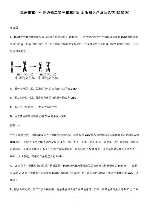 郑州市高中生物必修二第三章基因的本质知识点归纳总结(精华版)