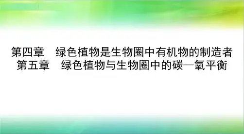 第五节光合作用和呼吸作用原理的应用