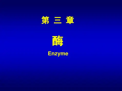 酶-生物化学与分子生物学