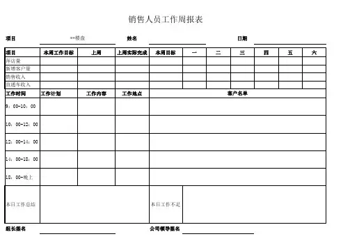 销售人员日报表模板