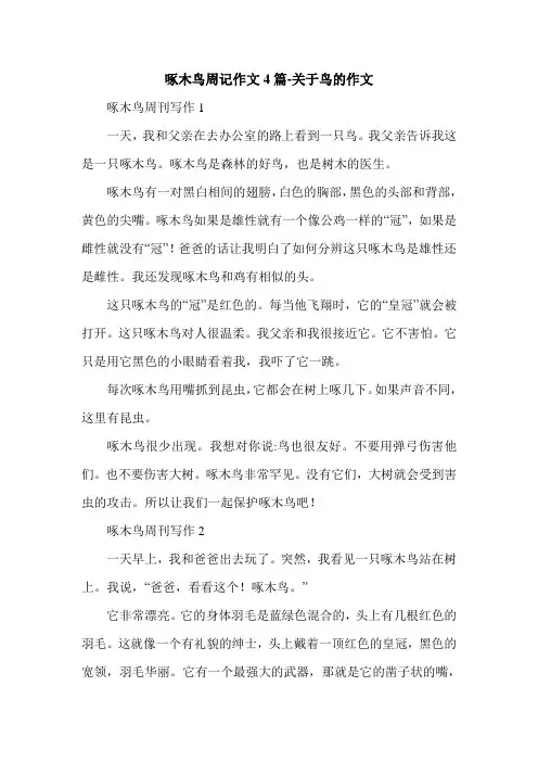 啄木鸟周记作文4篇-关于鸟的作文.doc