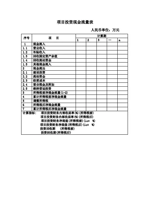 项目投资现金流量表