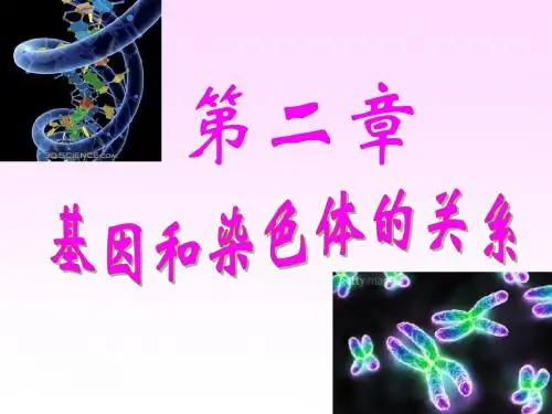 人教版教学课件第二章第1节减数分裂和受精作用