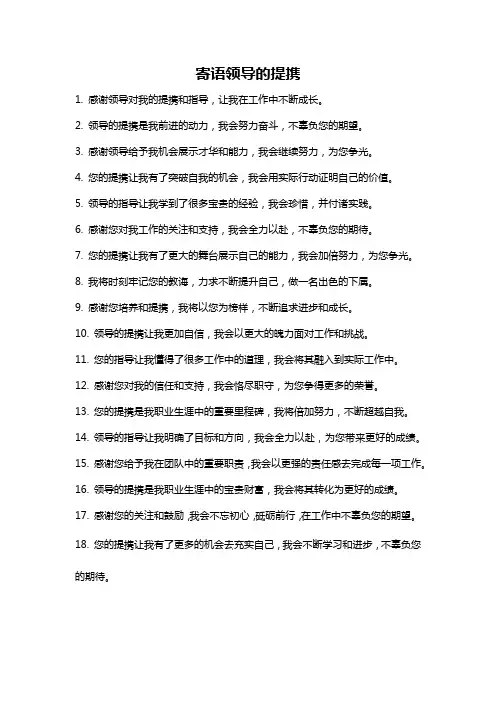 寄语领导的提携