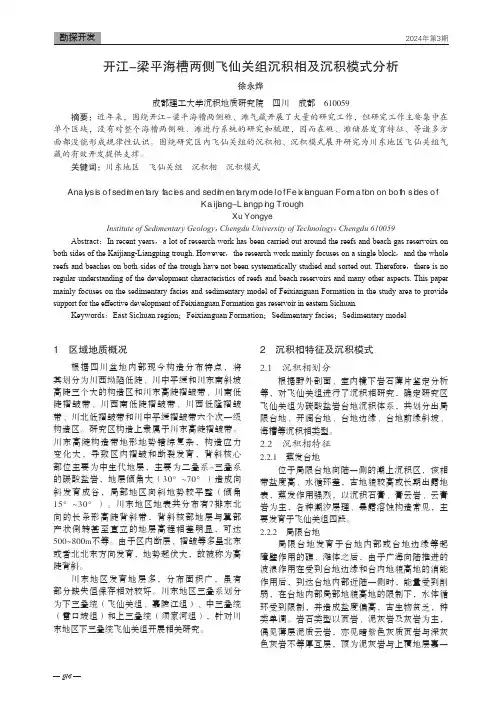 开江-梁平海槽两侧飞仙关组沉积相及沉积模式分析