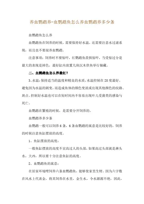 养血鹦鹉养-血鹦鹉鱼怎么养血鹦鹉养多少条