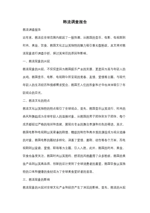 韩流调查报告