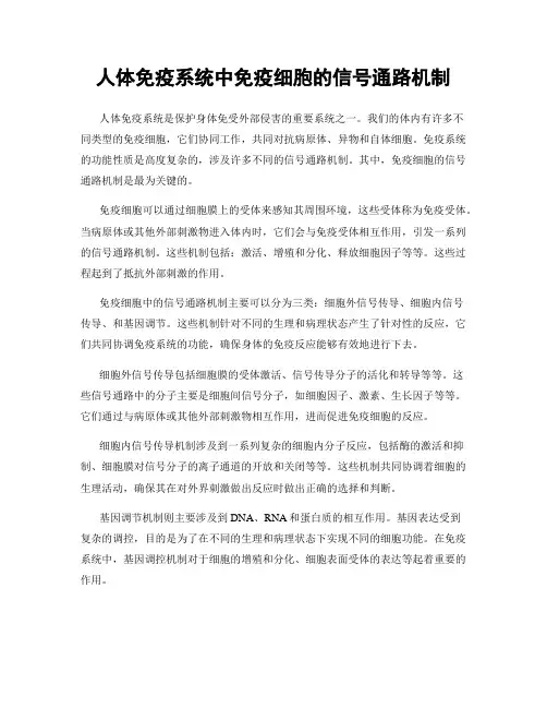 人体免疫系统中免疫细胞的信号通路机制