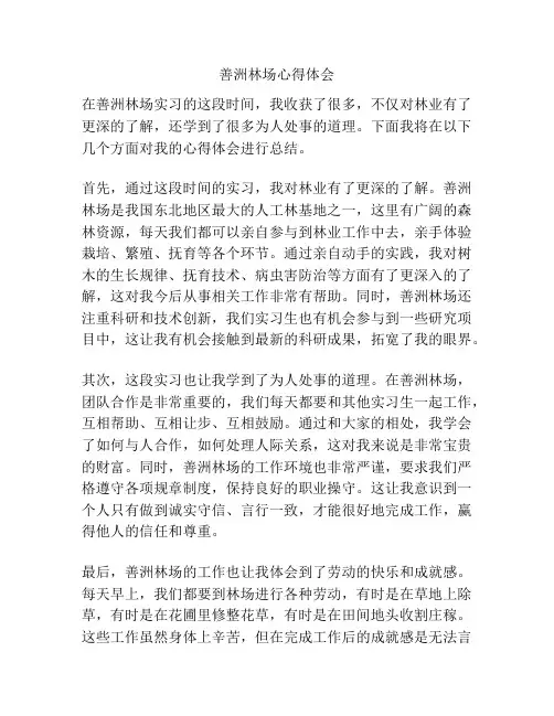 善洲林场心得体会