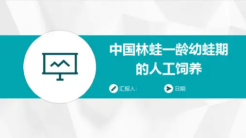 中国林蛙一龄幼蛙期的人工饲养