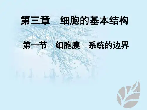 人教版高中生物必修一第3章第1节细胞膜——系统的边界  课件(共30张PPT)