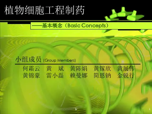 植物细胞工程制药基本概念