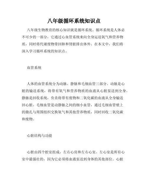 八年级循环系统知识点