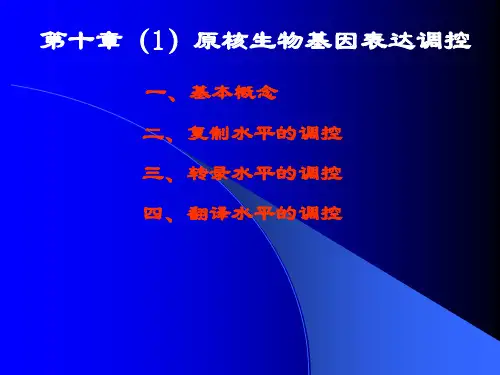 PowerPoint   河南师范大学汇总PPT课件