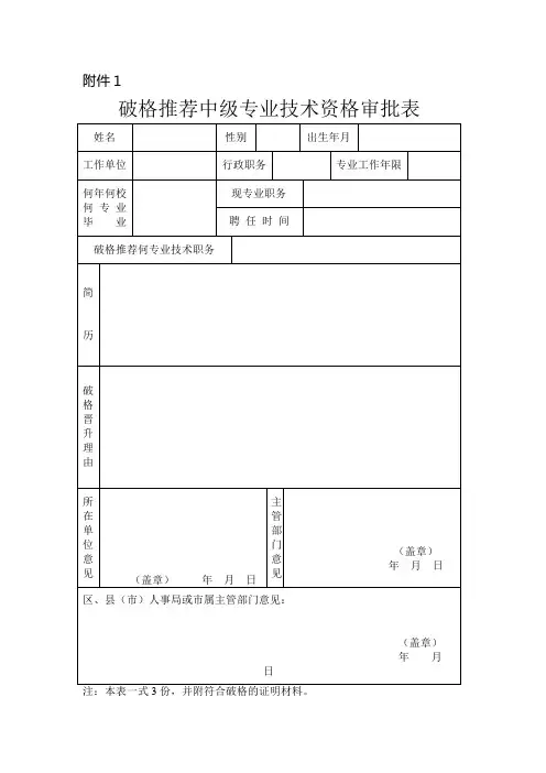 破格推荐中级专业技术资格审批表