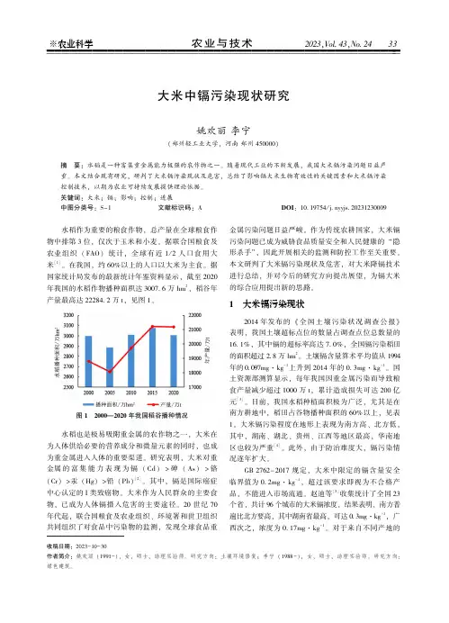 大米中镉污染现状研究
