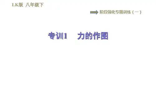 鲁科版八年级下册物理习题课件 第6章 阶段强化专题训练(一)  专训1  力的作图